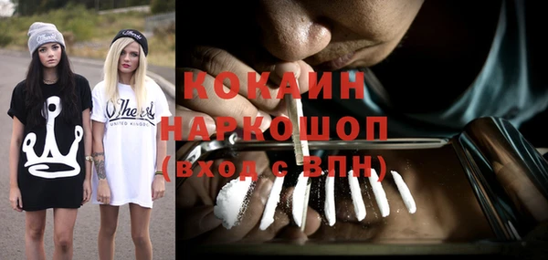 стафф Аркадак