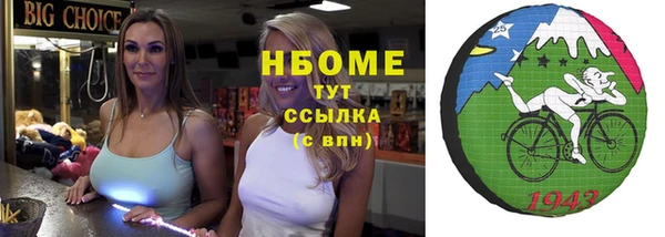 молекула духа Арсеньев