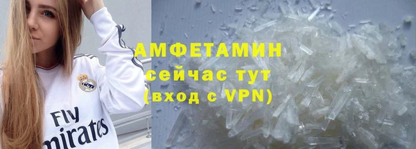 молекула духа Арсеньев