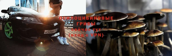 шишки Армянск