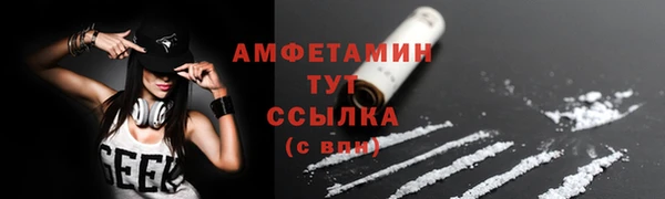 стафф Аркадак
