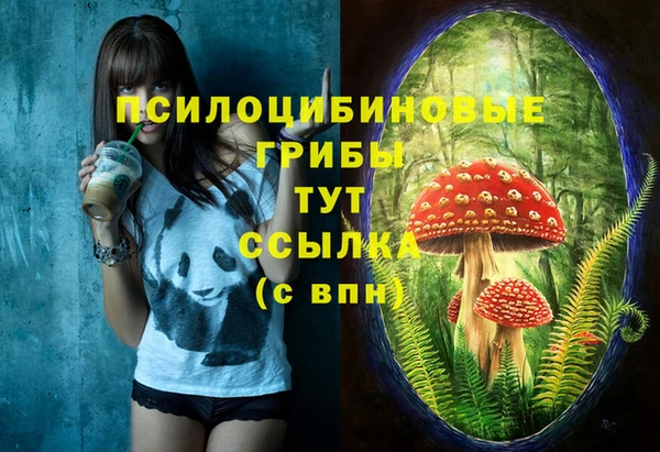 шишки Армянск