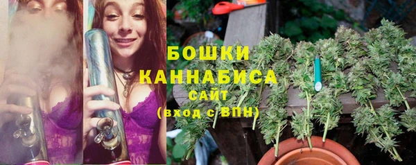 шишки Армянск
