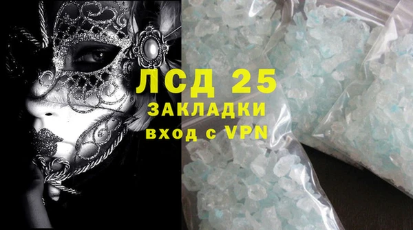 молекула духа Арсеньев
