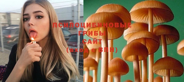 молекула духа Арсеньев