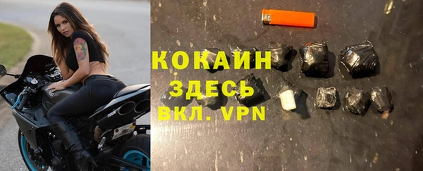 молекула духа Арсеньев