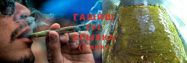 молекула духа Арсеньев