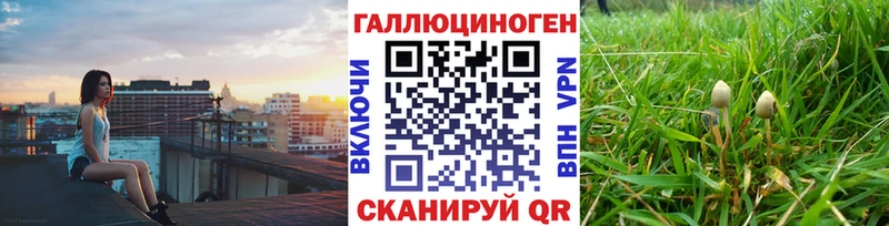 Галлюциногенные грибы MAGIC MUSHROOMS Нягань